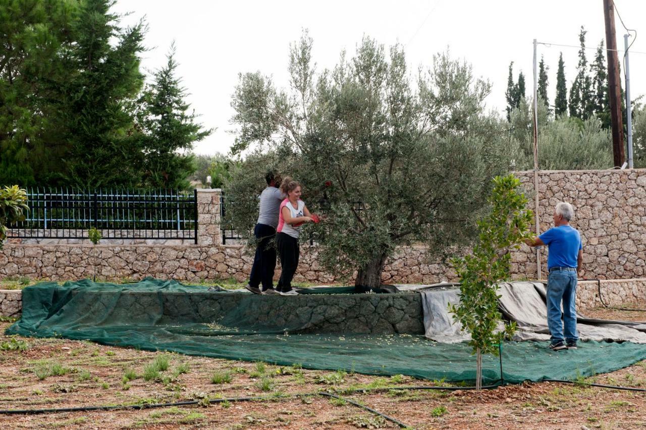 Villa Hermes Πόρτο Χέλι Εξωτερικό φωτογραφία